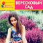 Вересковый сад. Школа цветовода.